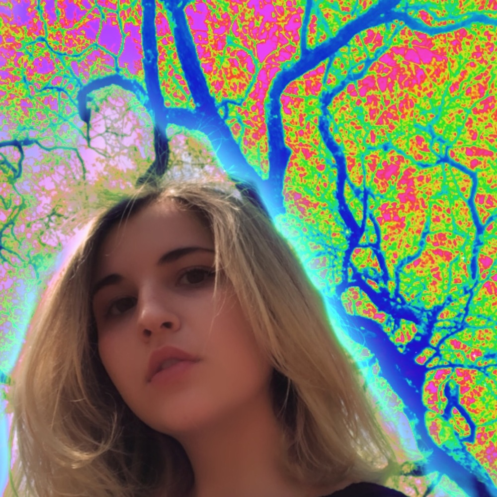 Meet your Posher, Carmen